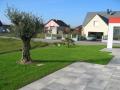nettoyage espace vert