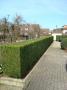 nettoyage pelouse, paysagiste bartenheim